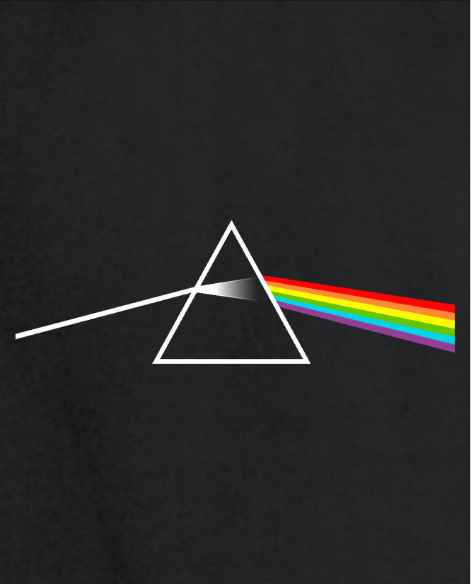 Džemperis Pink Floyd